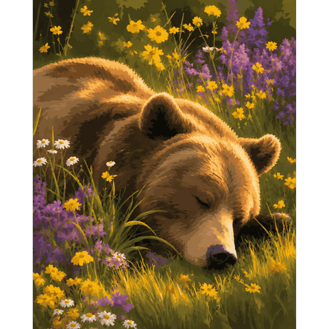 Bears