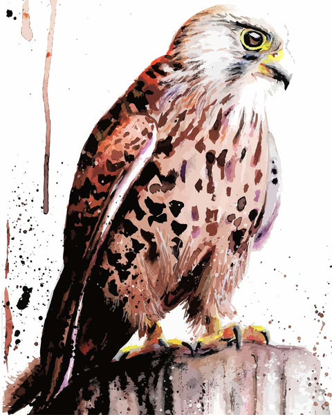 Eagles